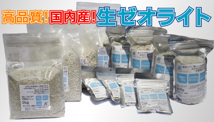 ゼオライト ゼオライト